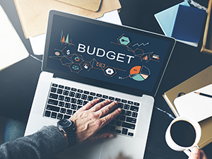 Creating a Personalized IT Budget